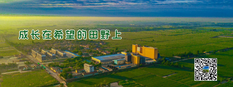 和興面粉